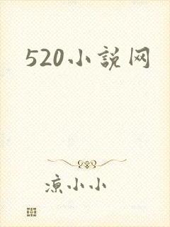 520小说网