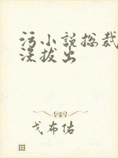 污小说总裁整夜没拔出