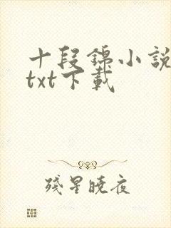 十段锦小说全本txt下载