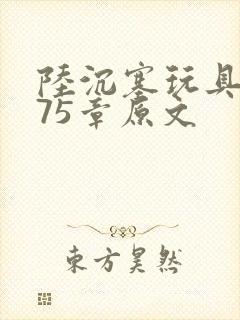 陆沉塞玩具高速75章原文