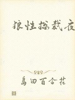 狼性总裁夜欢宠