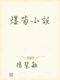 爆菊小说