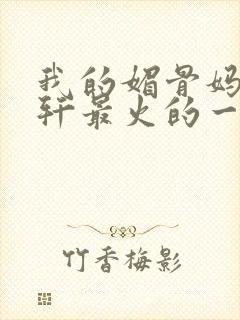 我的媚骨妈妈林轩最火的一句