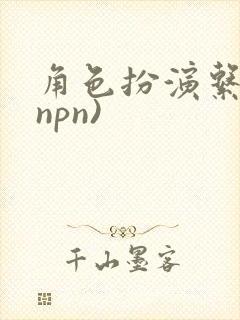 角色扮演系统(npn)