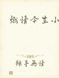 燃情今生小说