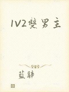 1V2双男主