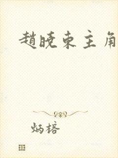 赵晓东主角小说