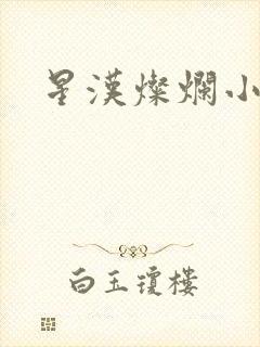 星汉灿烂小说