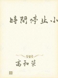 时间停止小说