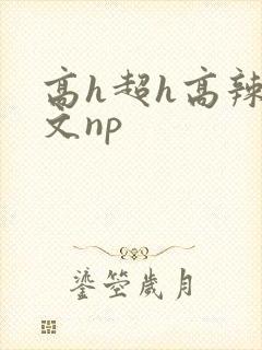 高h超h高辣h文np