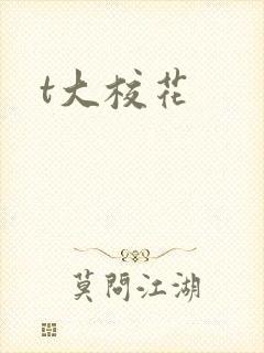t大校花