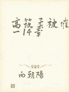 高筱柔被催眠1一14章
