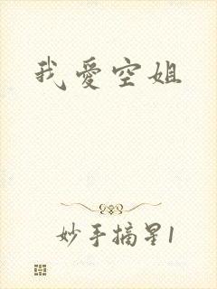 我爱空姐