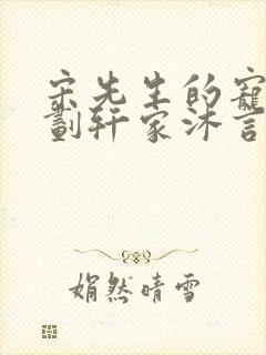 宋先生的宠妻计划轩家沐言