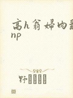 高h翁妇肉乱文np