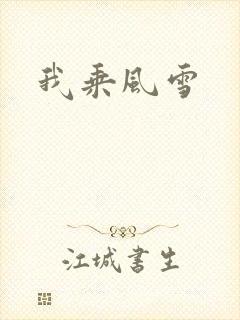 我乘风雪