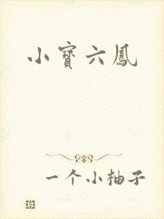 小宝六凤