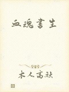 血魂书生