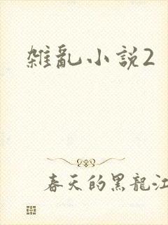 杂乱小说2