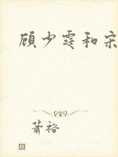 顾少霆和宋斯曼