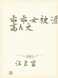 乖乖女被灌满精高h文