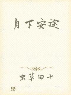 月下安途