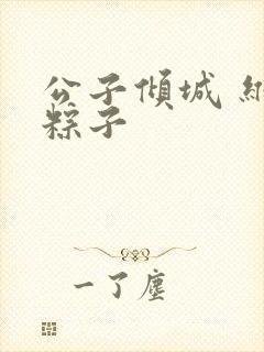 公子倾城 维和粽子