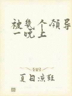 被几个领导玩弄一晚上