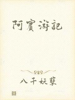 阿宾游记