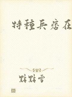 特种兵痞在都市