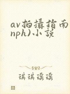 av拍摄指南(nph)小说