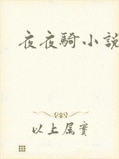 夜夜骑小说