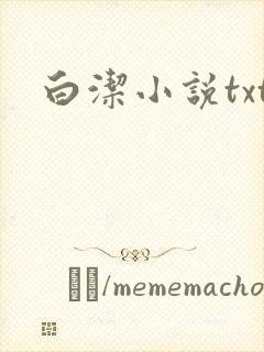 白洁小说txt