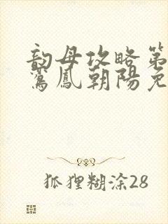 韵母攻略第二部鸾凤朝阳免费阅读