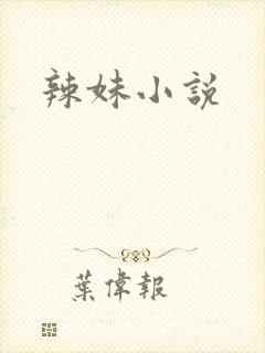 辣妹小说