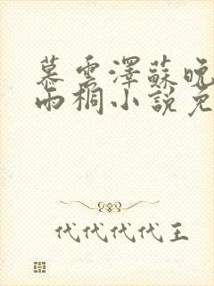 慕云泽苏晚晴夏雨桐小说免费阅读