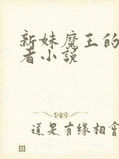 新妹魔王的契约者小说