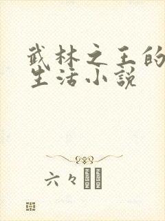 武林之王的退隐生活小说