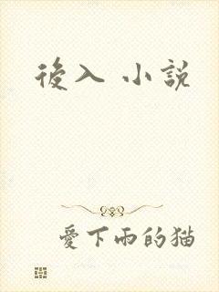 后入 小说