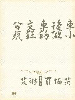 公交车后车座的疯狂的做小