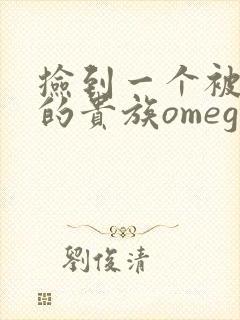 捡到一个被抹布的贵族omega