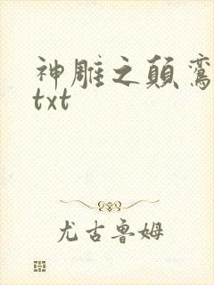 神雕之颠鸾倒凤txt