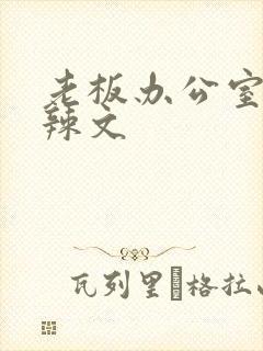 老板办公室系列辣文