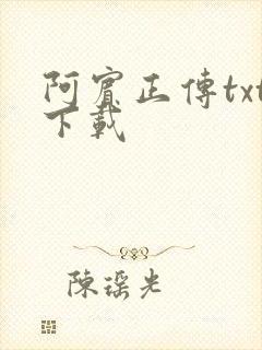 阿宾正传txt下载