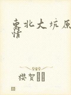 东北大坑原始激情