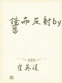 镜面反射by九葛