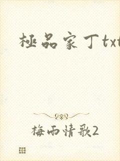 极品家丁txt