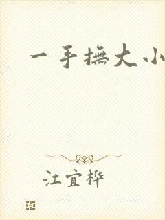 一手抚大小说