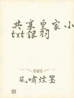 共享皇家小公主txt银羽