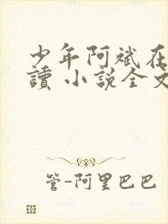 少年阿斌在线阅读 小说全文免费